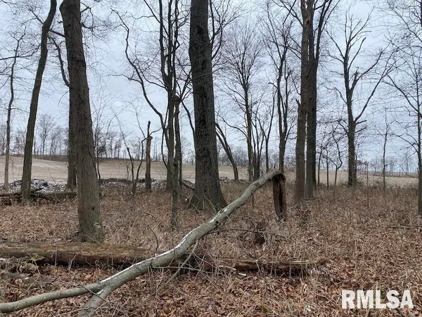 $55,000 | 0 North County Road 150, Sumner, IL 62466