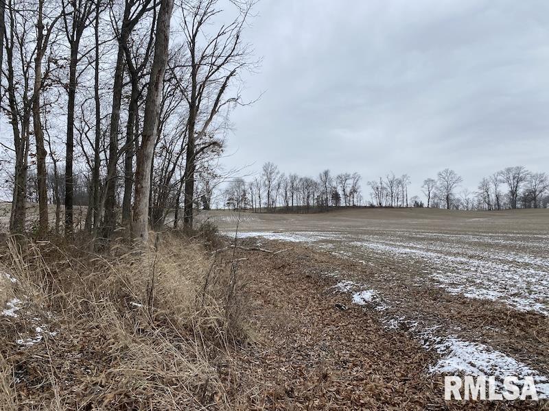 0 North County Road 150 Sumner, IL 62466 - Photo 18 of 18