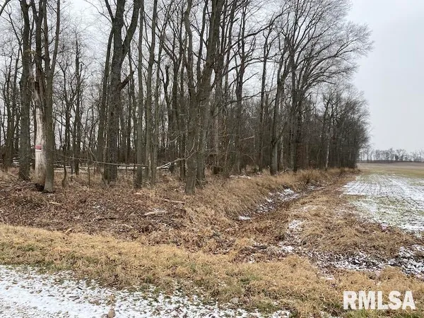 $55,000 | 0 North County Road 150, Sumner, IL 62466