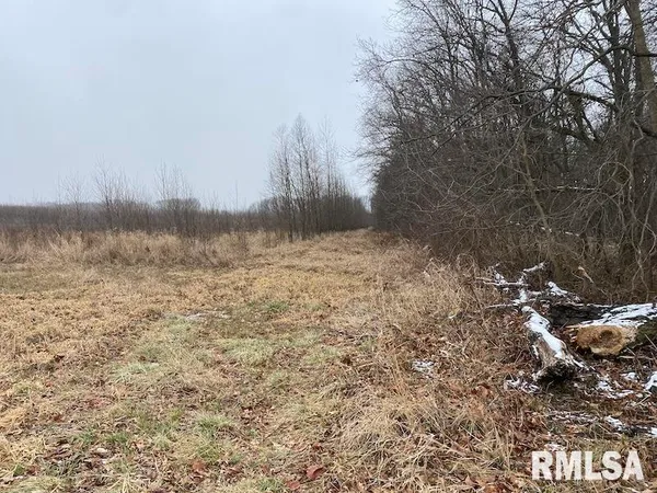 $55,000 | 0 North County Road 150, Sumner, IL 62466