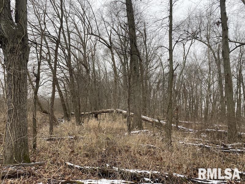 0 North County Road 150 Sumner, IL 62466 - Photo 6 of 18