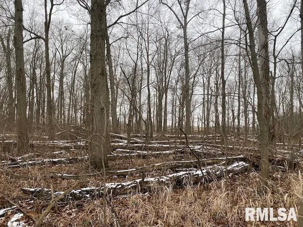 $55,000 | 0 North County Road 150, Sumner, IL 62466