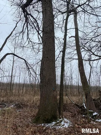 $55,000 | 0 North County Road 150, Sumner, IL 62466