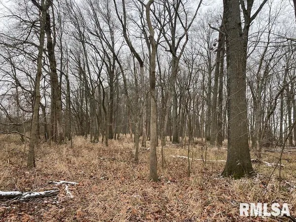 $55,000 | 0 North County Road 150, Sumner, IL 62466