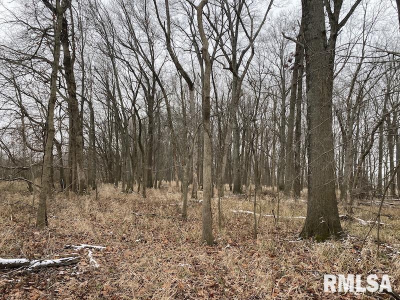 0 North County Road 150 Sumner, IL 62466 - Photo 9 of 18