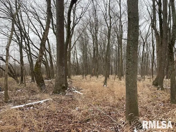 $55,000 | 0 North County Road 150, Sumner, IL 62466