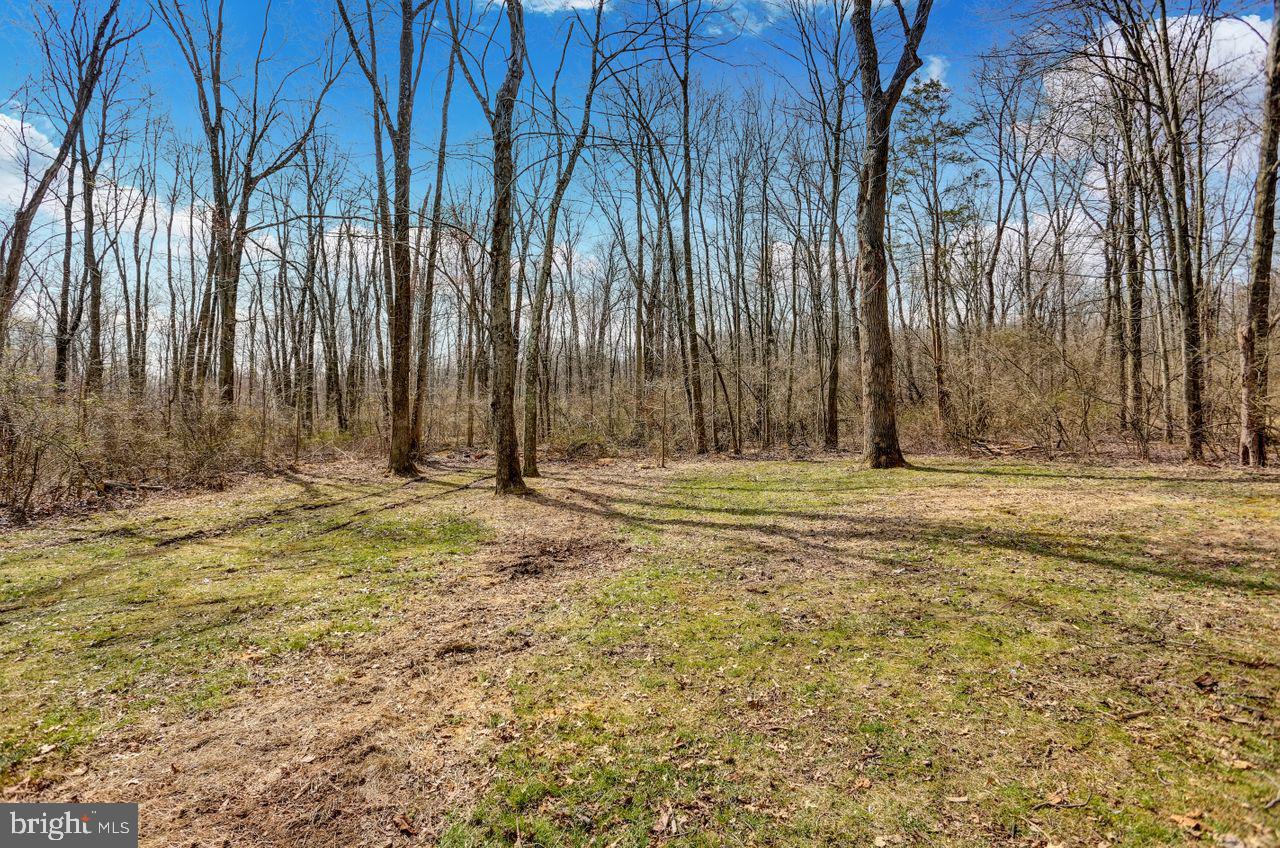 110 Wilt Road Bechtelsville, PA 19505 - Photo 29 of 29 Back Yard