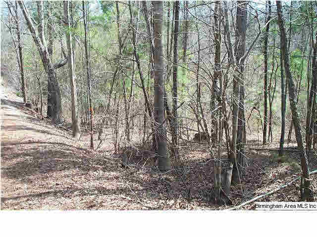 664 Mill Branch Road, Unit 17AC Jacksonville, AL 36265 - Photo 14 of 14