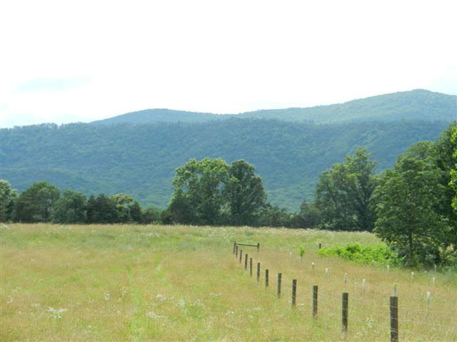 903 Shipyard Road Shenandoah, VA 22849 - Photo 1 of 13 Gallery Image 1