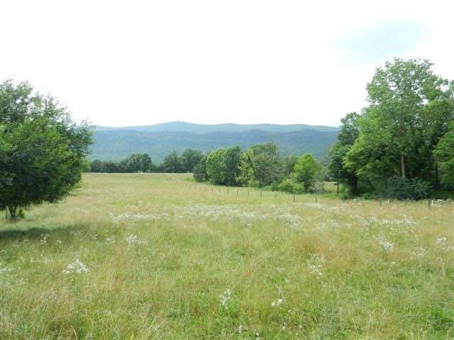903 Shipyard Road Shenandoah, VA 22849 - Photo 3 of 13 Gallery Image 3