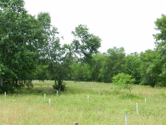 903 Shipyard Road Shenandoah, VA 22849 - Photo 4 of 13 Gallery Image 4