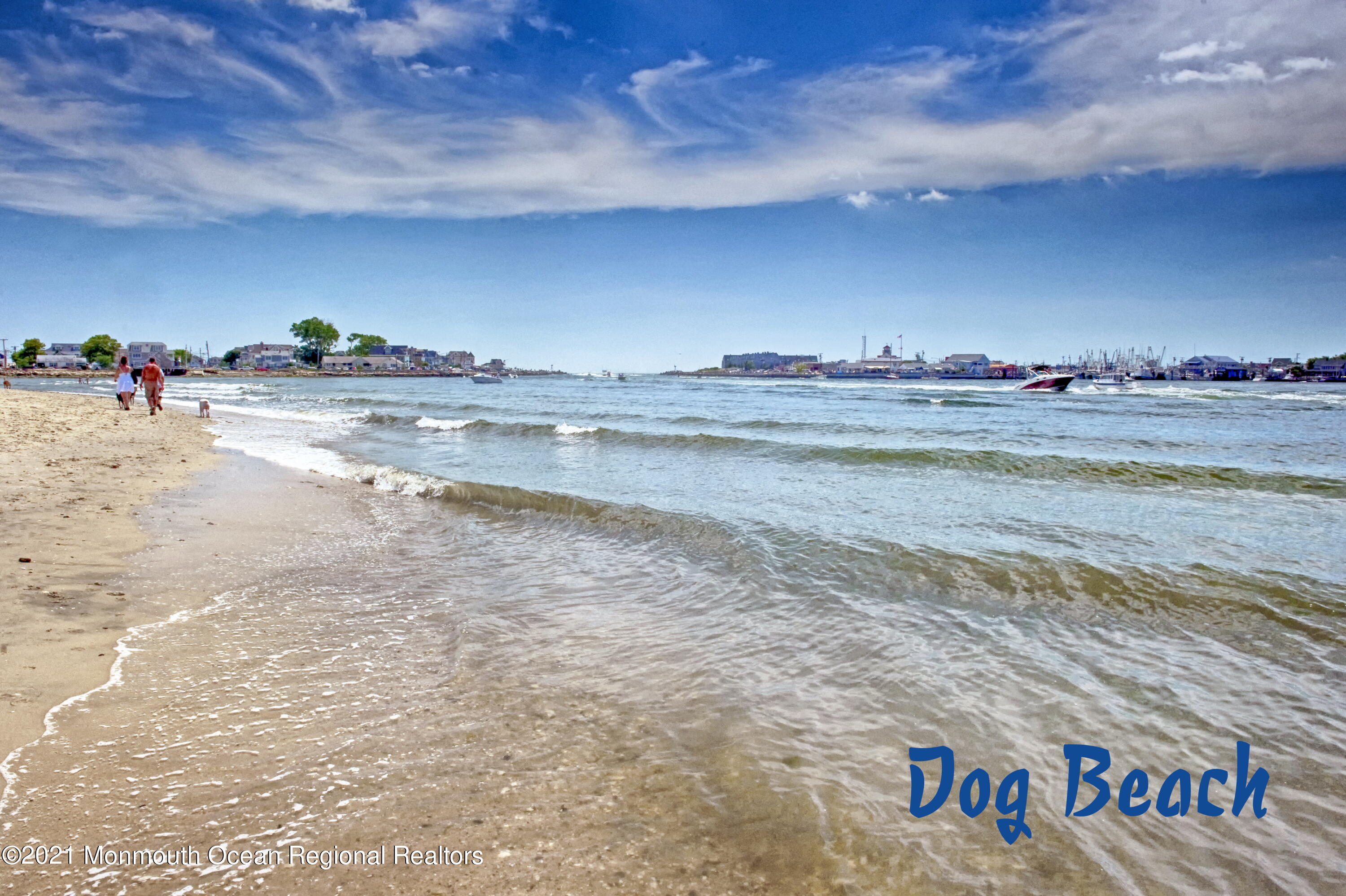 1008 Forrest Road Brielle, NJ 08730 - Photo 78 of 81 Dog Beach DSC_5370dfine_3