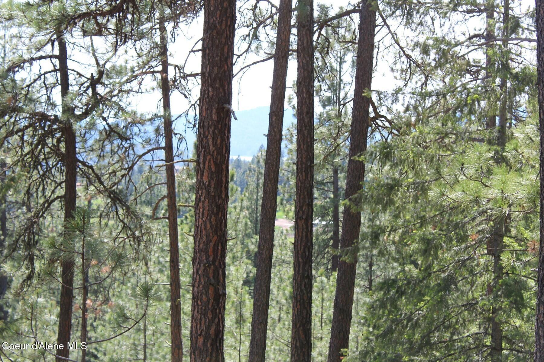 881-2714 South Allen Road Coeur D'Alene, ID 83814 - Photo 13 of 54 Peekaboo Lake Views