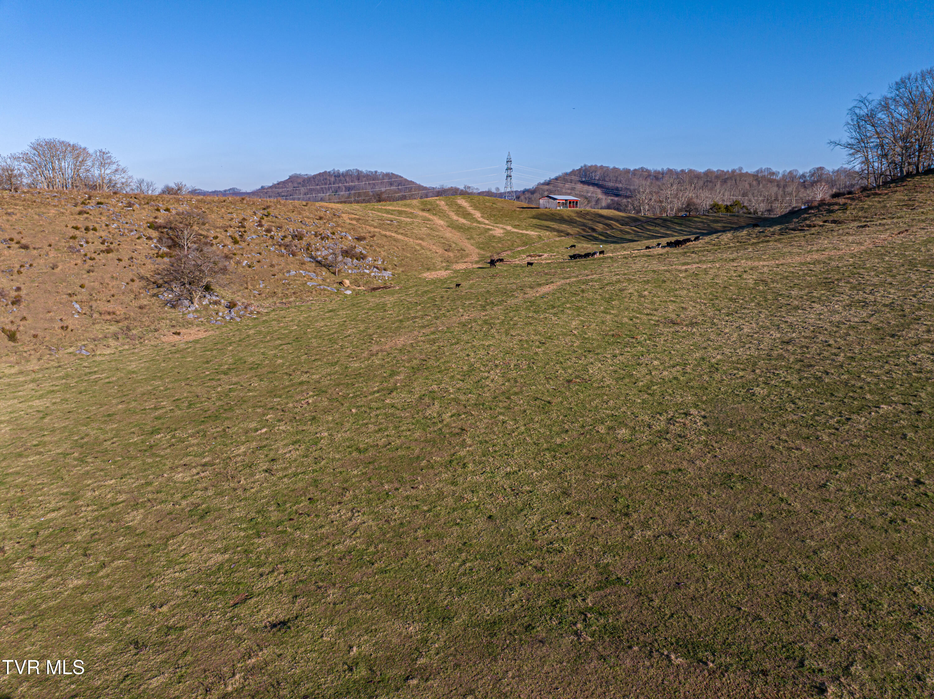 27363 Fudge Road Meadowview, VA 24361 - Photo 60 of 100 Fudge-46