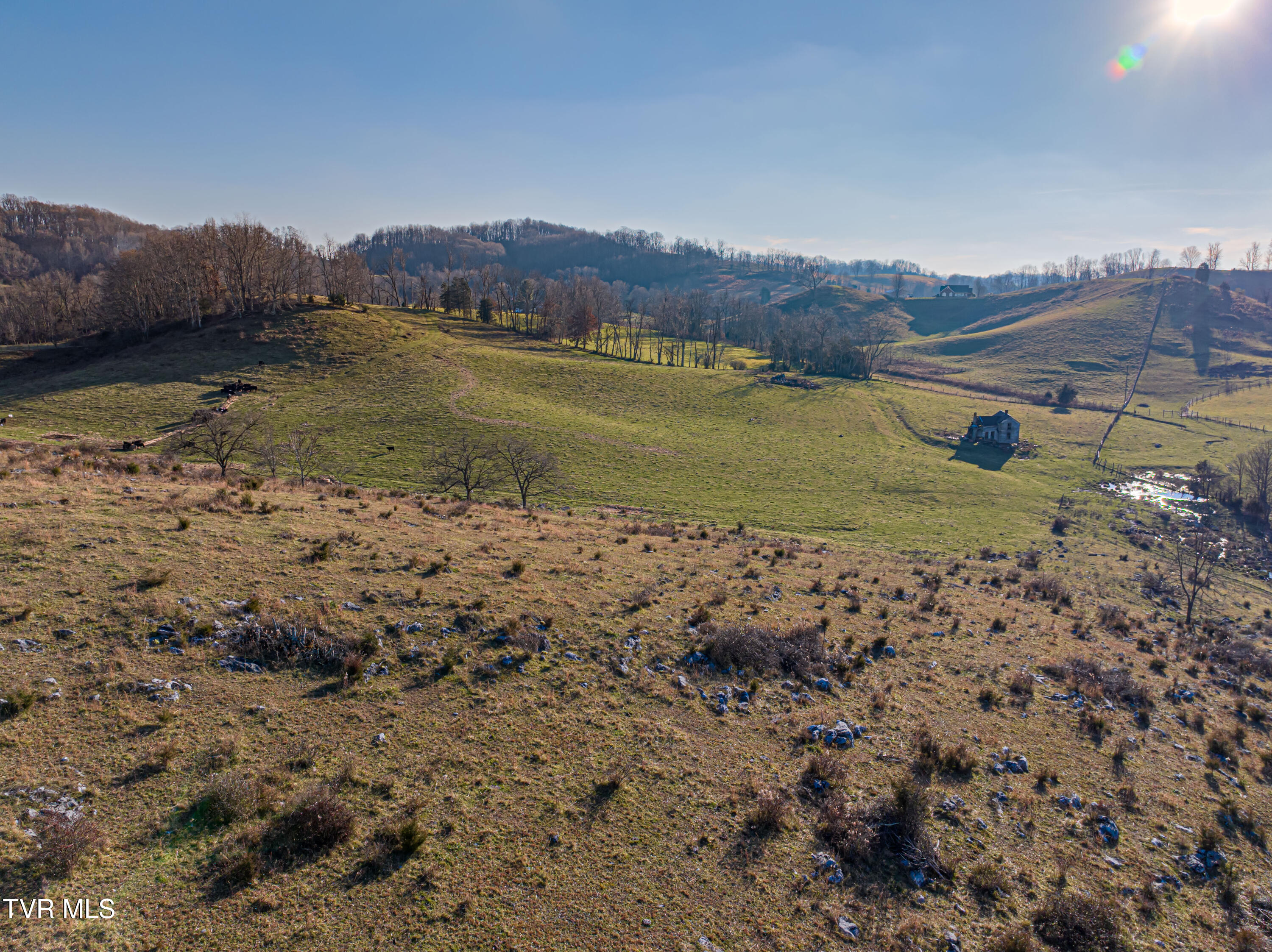 27363 Fudge Road Meadowview, VA 24361 - Photo 61 of 100 Fudge-47