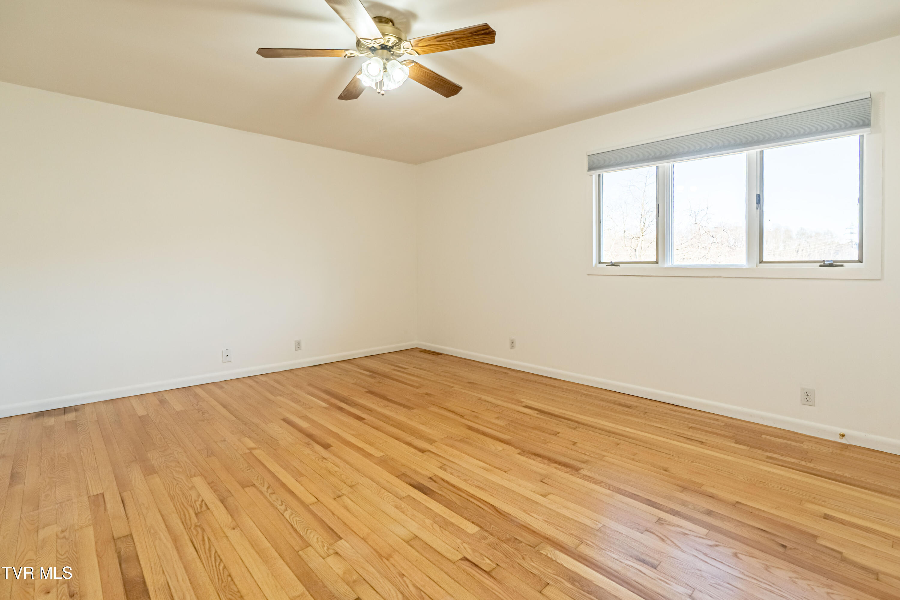 27363 Fudge Road Meadowview, VA 24361 - Photo 86 of 100 Fudge-80