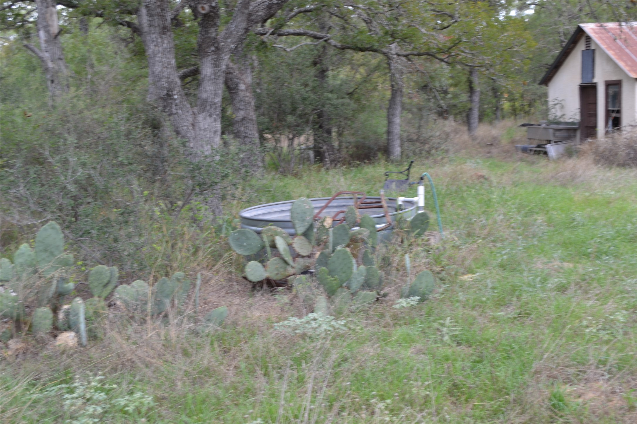 0 Ranch Road 2241 Tow, TX 78672 - Photo 21 of 33 A tranquil natural setting with mature trees and native flora surrounding a rustic outbuilding.