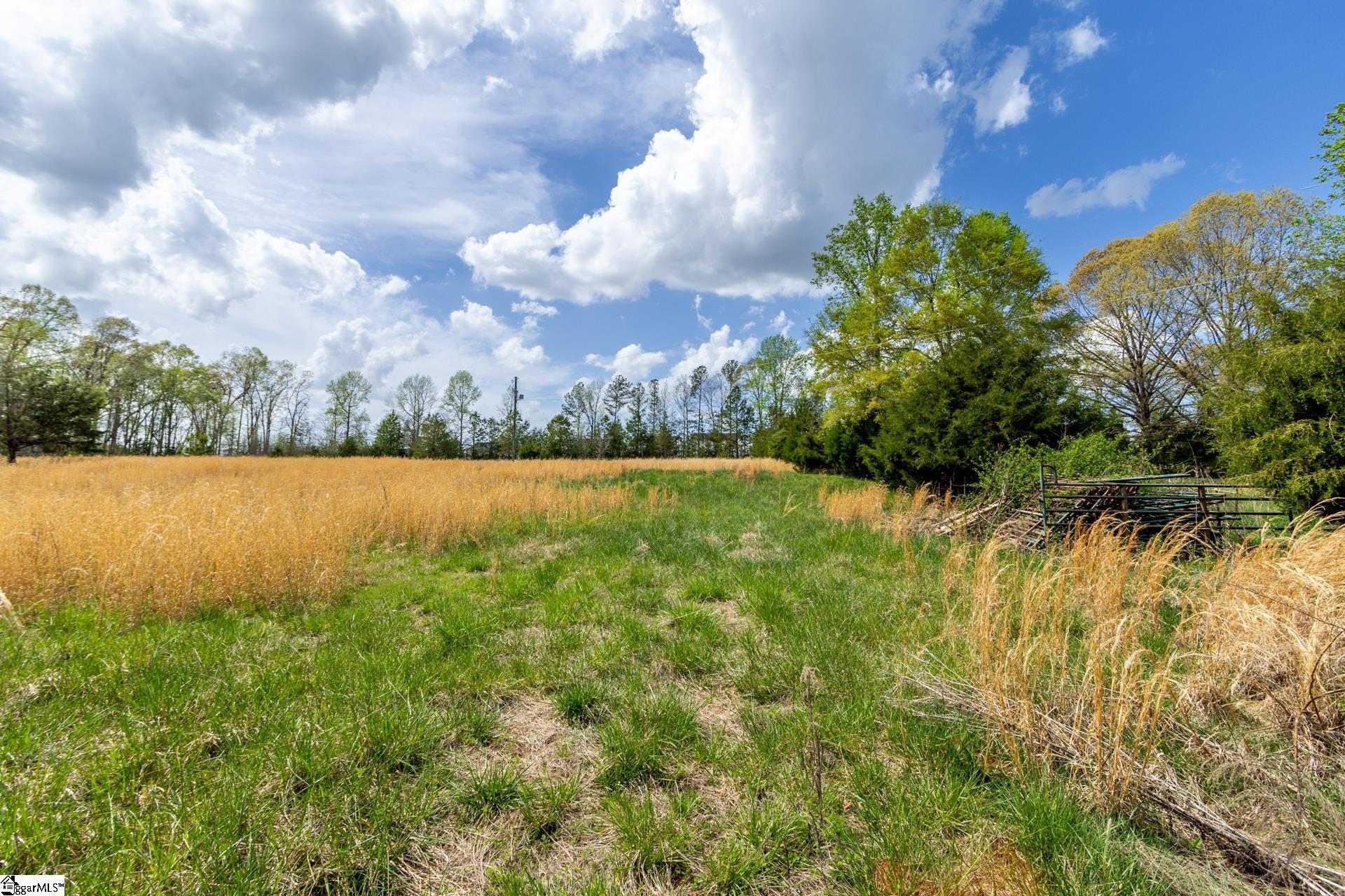 365 Old Bethel Road Moore, SC 29369 - Photo 25 of 50