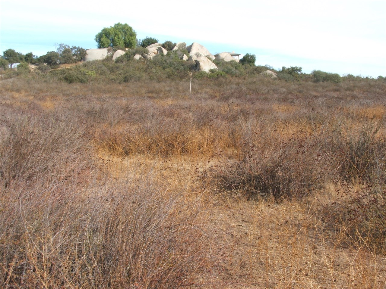 Canyon Road Valley Center, CA 92082 - Photo 1 of 6