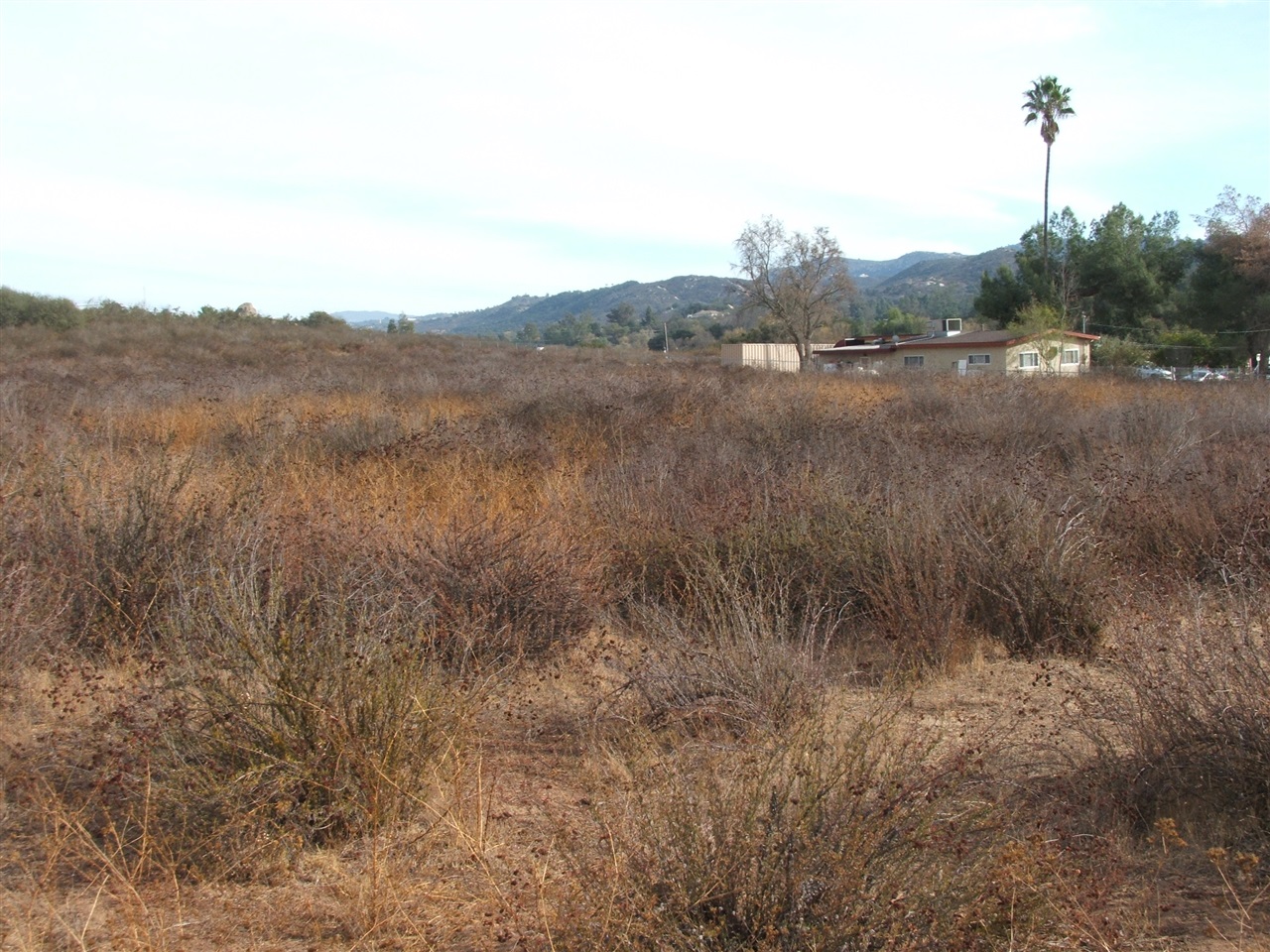 Canyon Road Valley Center, CA 92082 - Photo 4 of 6