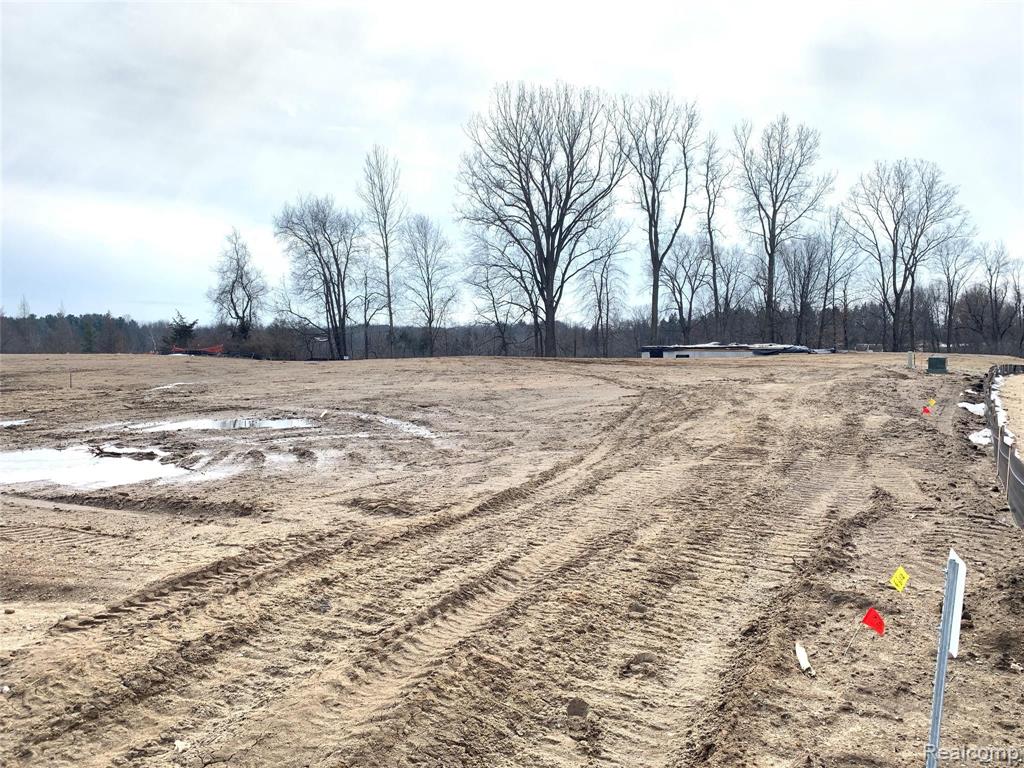 0 Chestnut Springs Drive Howell, MI 48843 - Photo 6 of 8