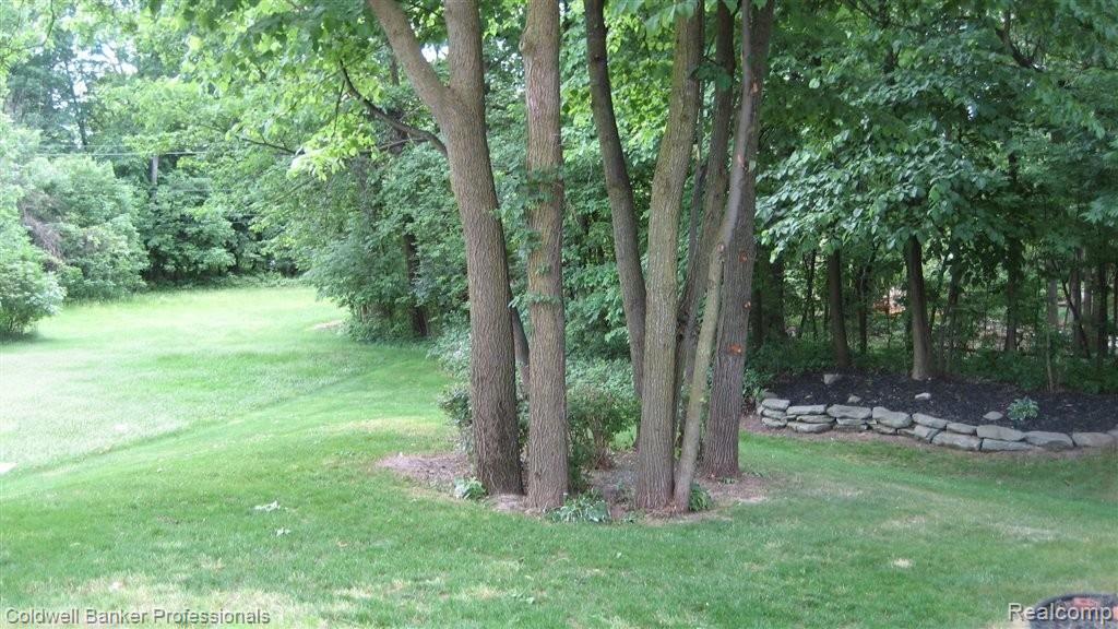3527 Cedar Shake Drive Rochester, MI 48309 - Photo 5 of 21 IMG_4701.JPG