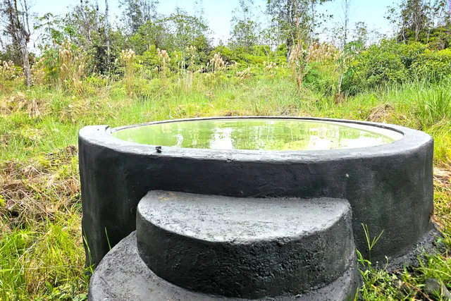 $265,000 | 16-1346 Road 7 (opeapea) Mountain View, Kurtistown, HI 96760