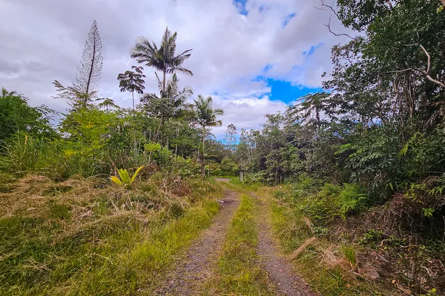 $265,000 | 16-1346 Road 7 (opeapea) Mountain View, Kurtistown, HI 96760