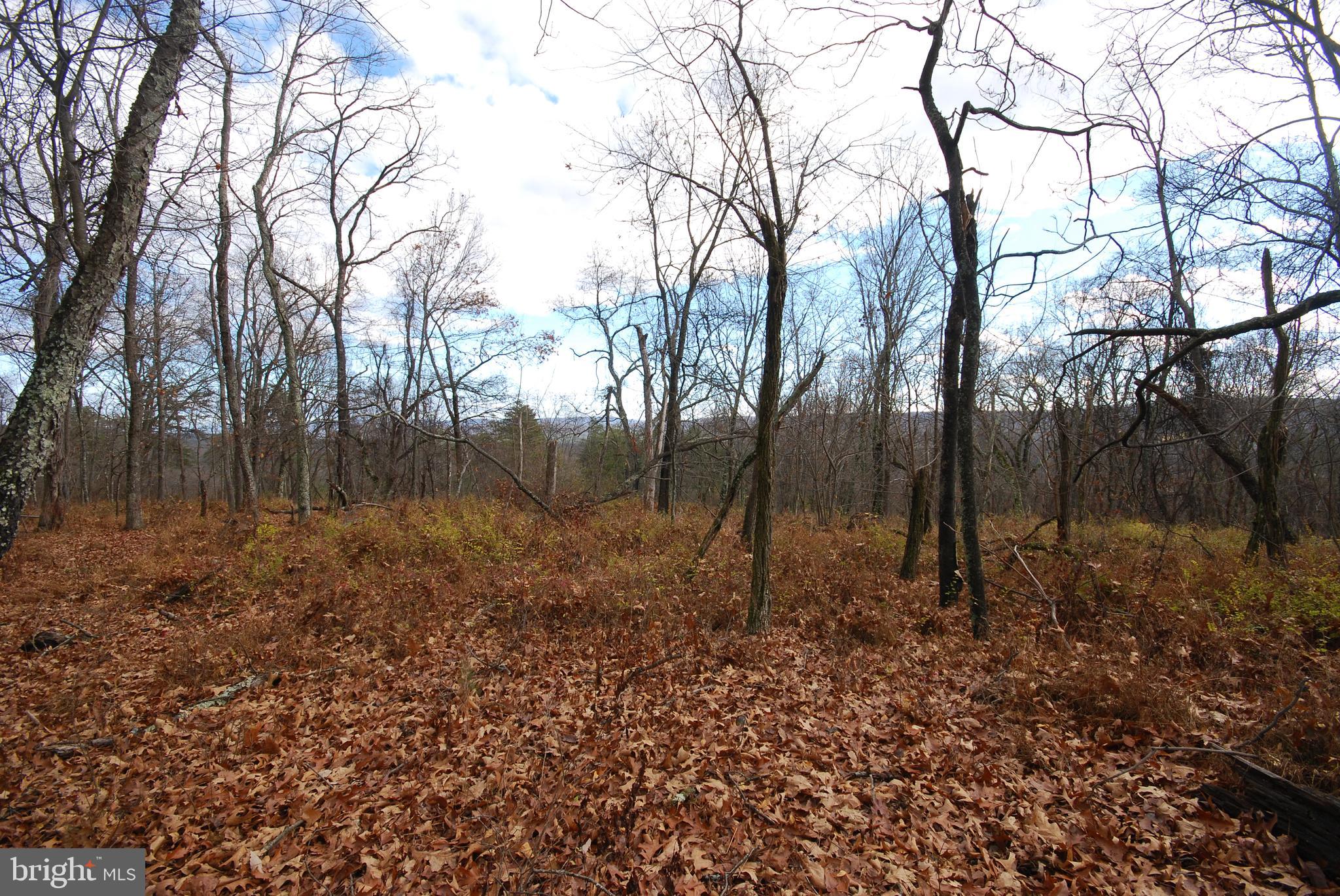 Lot 70-71 Mill Mountain Road Romney, WV 26757 - Photo 28 of 52