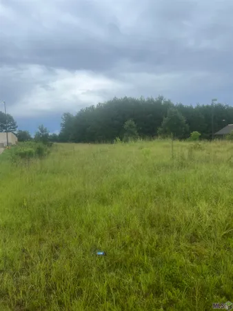 $119,000 | 9183 La Highway, Clinton, LA 70722