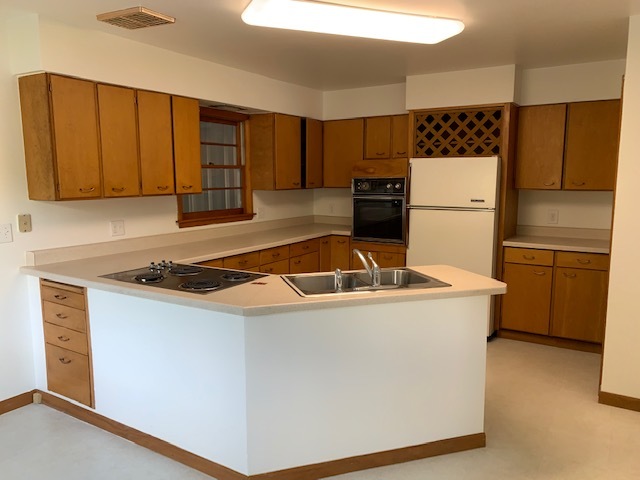 1045 North 3rd Street Rochelle, IL 61068 - Photo 3 of 19