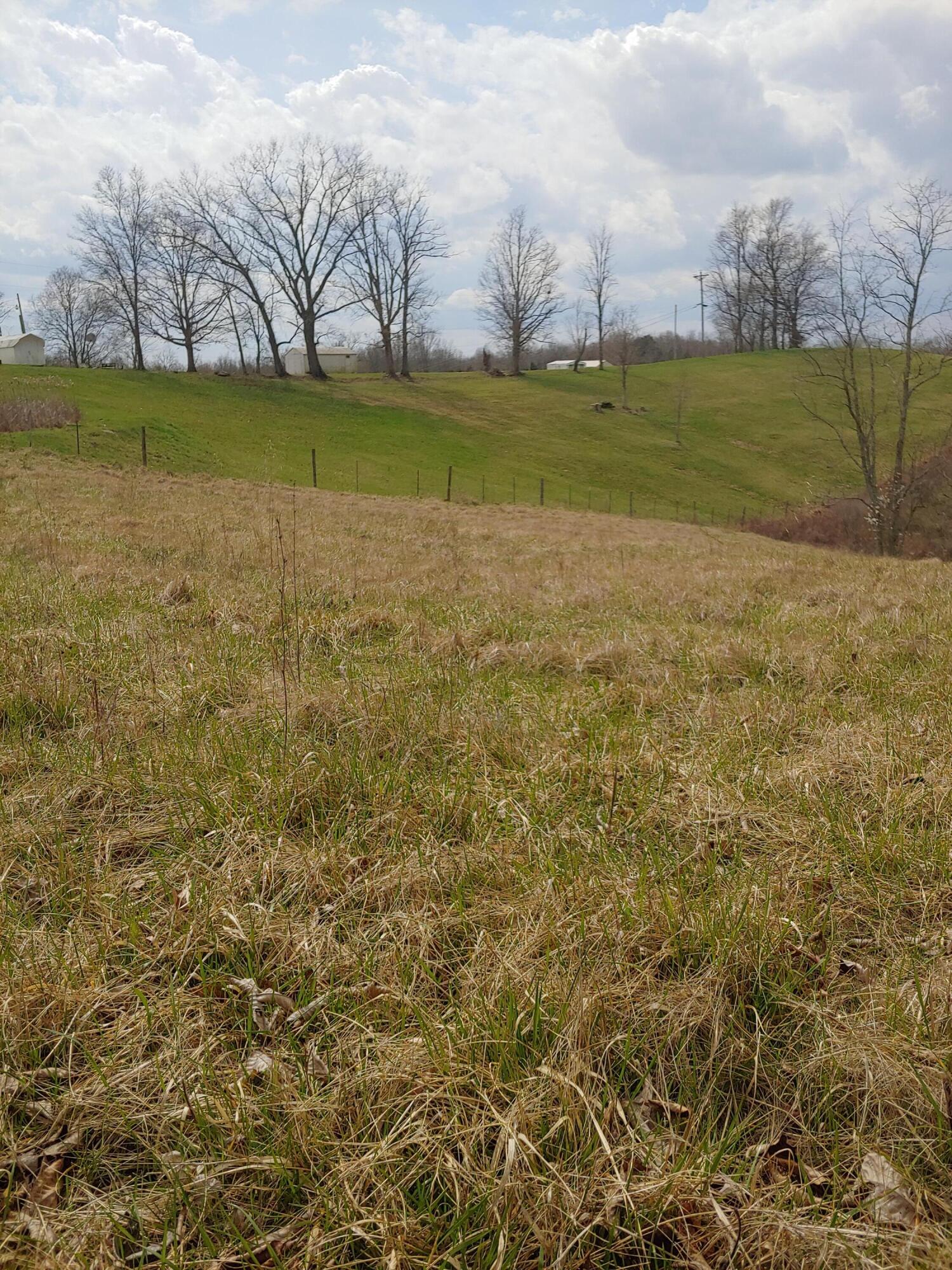 1550 Leaning Oak Road Corinth, KY 41010 - Photo 8 of 10 Gallery Image 8