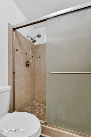 a bathroom with a shower and a toilet