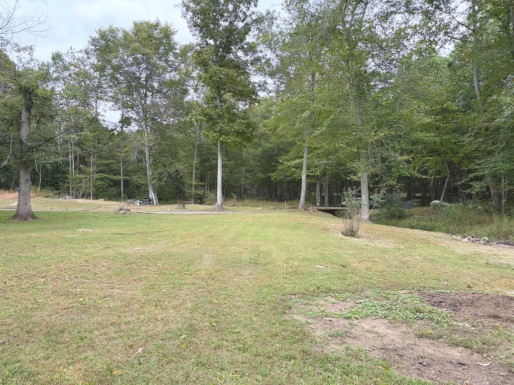1169 Will Dodd Road Jumping Branch, WV 25969 - Photo 40 of 40 Gallery Image 40