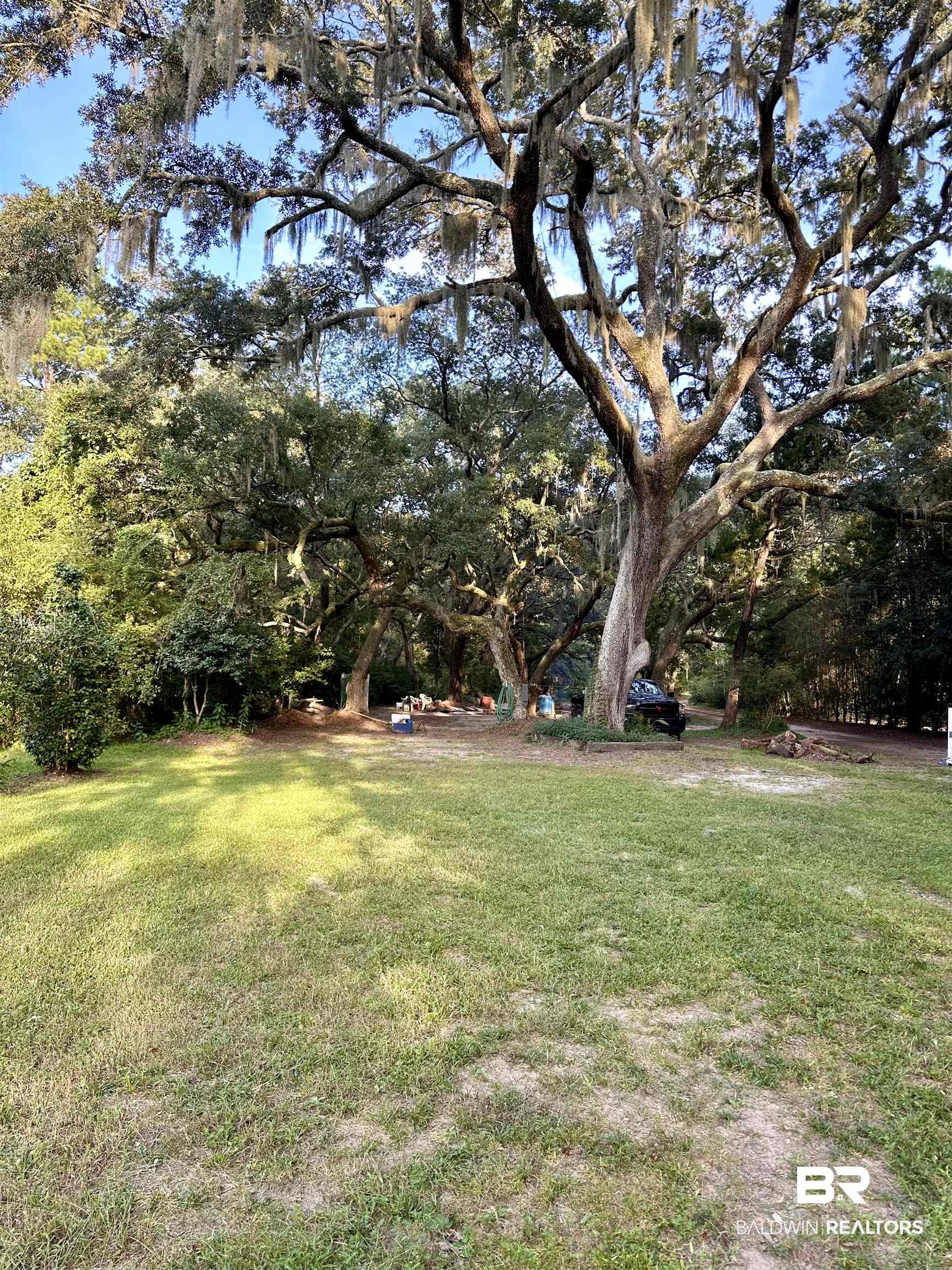 11057 Boudan Lane Foley, AL 36535 - Photo 14 of 18 View of yard