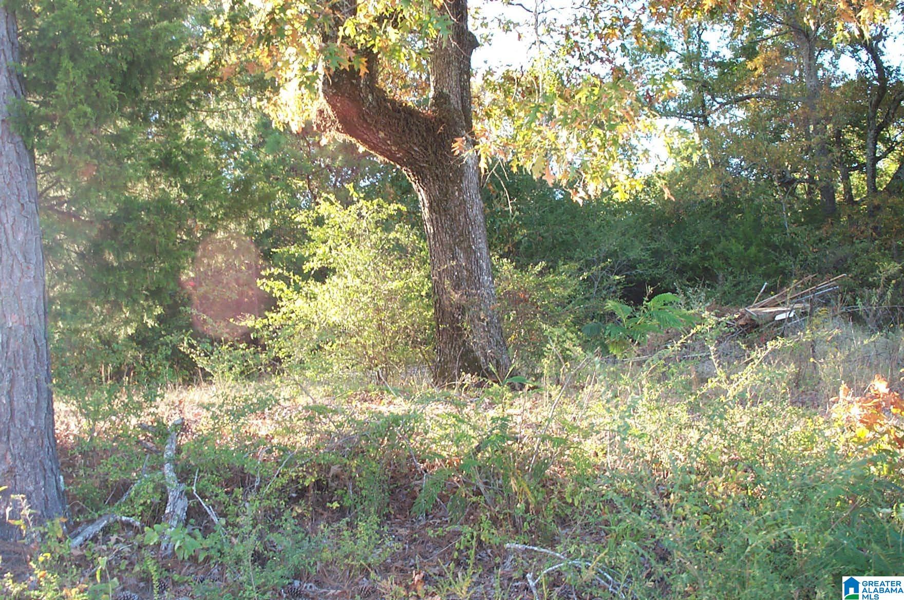 850 Sardis Road, Unit 1 Ashland, AL 36251 - Photo 9 of 10