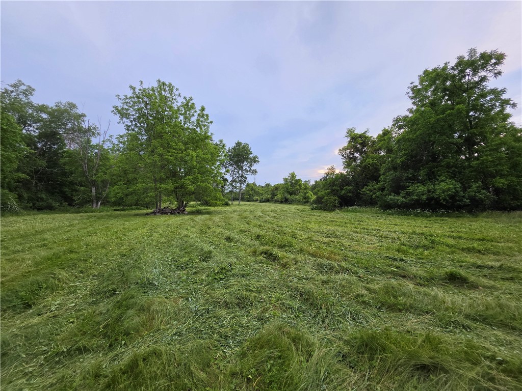 9169 Presho School Road Lindley, NY 14870 - Photo 12 of 13