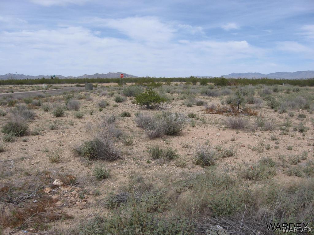 Tbd Nielsen Way Golden Valley, AZ 86413 - Photo 6 of 9 another view of lot