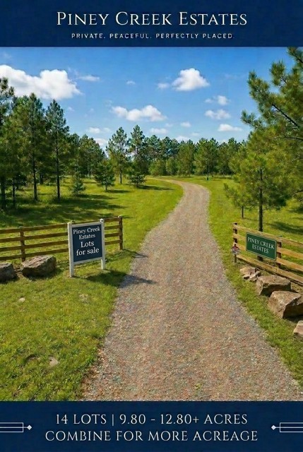 434 Piney Creek Estates Road Timpson, TX 75975 - Photo 1 of 6 a view of a lake with a big yard