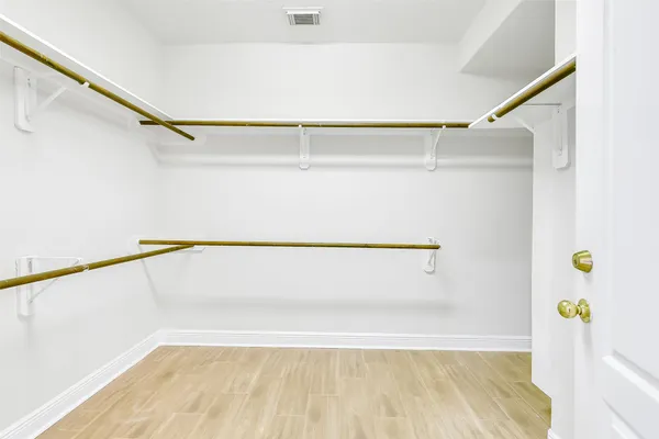 a view of walk in closet with window and plants