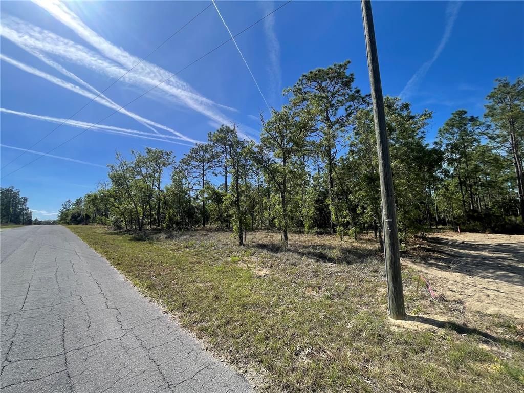 Northeast 7th Place Williston, FL 32696 - Photo 3 of 6 a view of a out door space