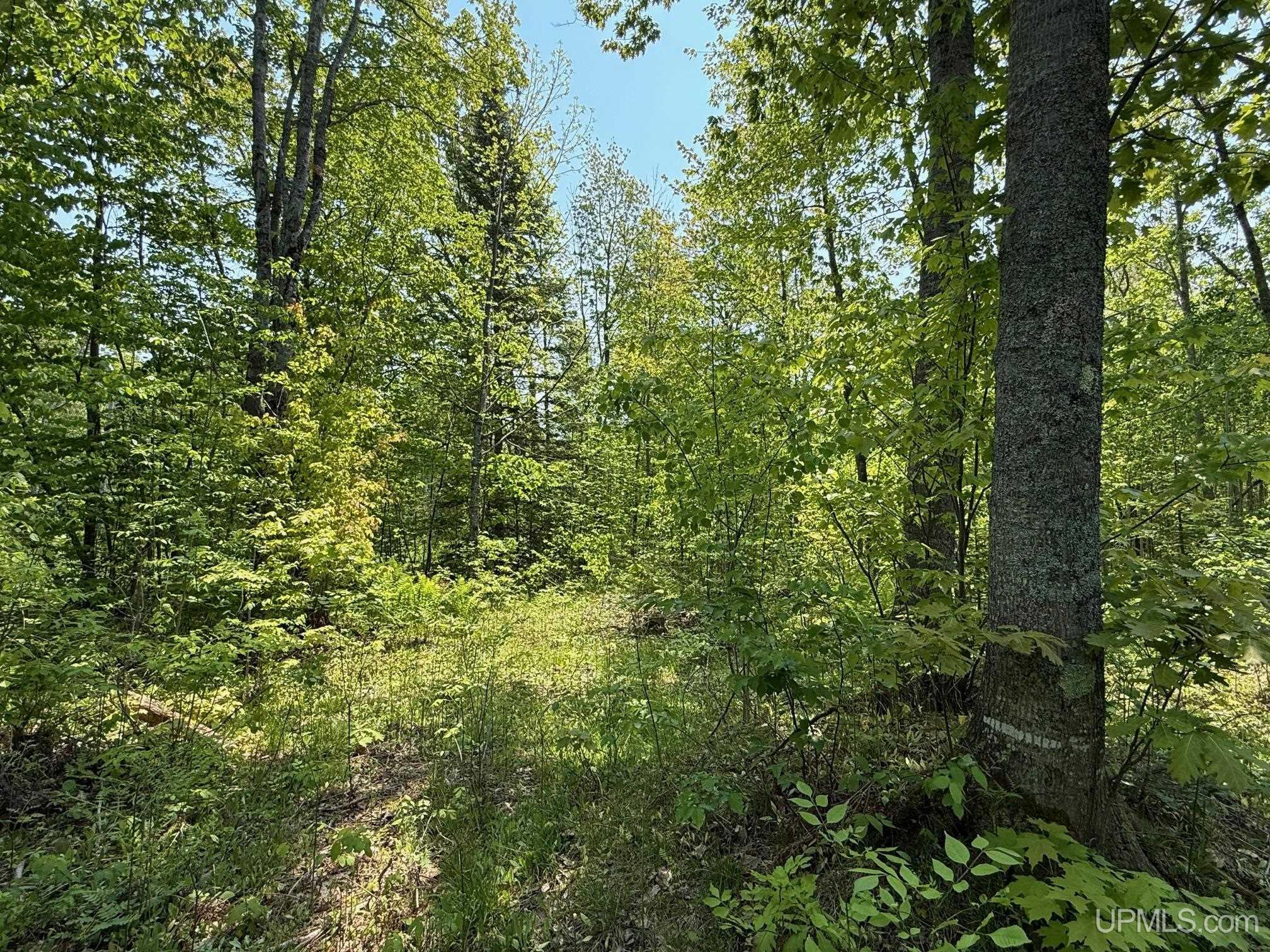 Tbde Old Rink Road Toivola, MI 49965 - Photo 13 of 20 Gallery Image 13