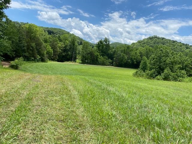285 Little Beech Road Clifton, TN 38425 - Photo 23 of 25 Gallery Image 23