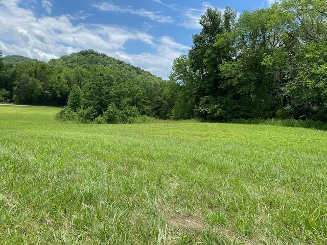 285 Little Beech Road Clifton, TN 38425 - Photo 24 of 25 Gallery Image 24