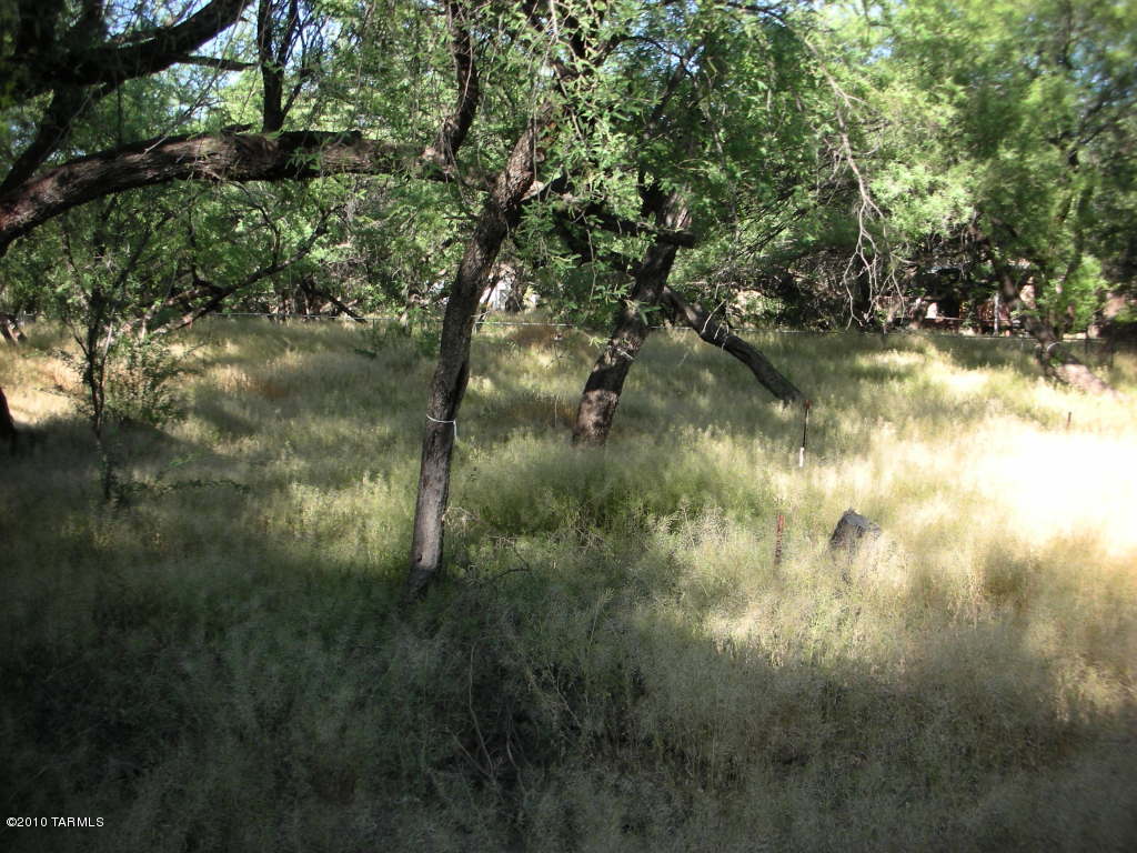 North Tanque Verde Loop Road Tucson, AZ 85749 - Photo 4 of 10 Gallery Image 4