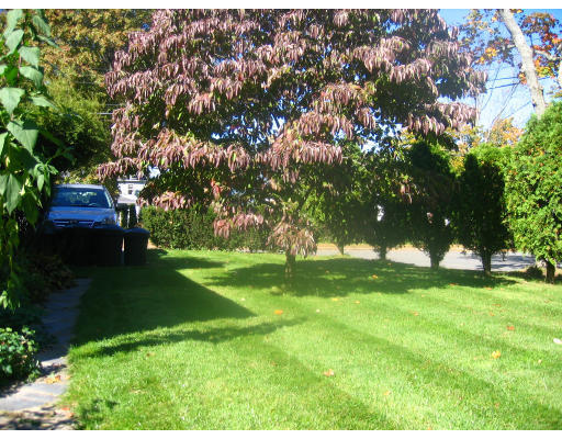 99 Russell Road Newton, MA 02465 - Photo 10 of 12 a view of yard with green space