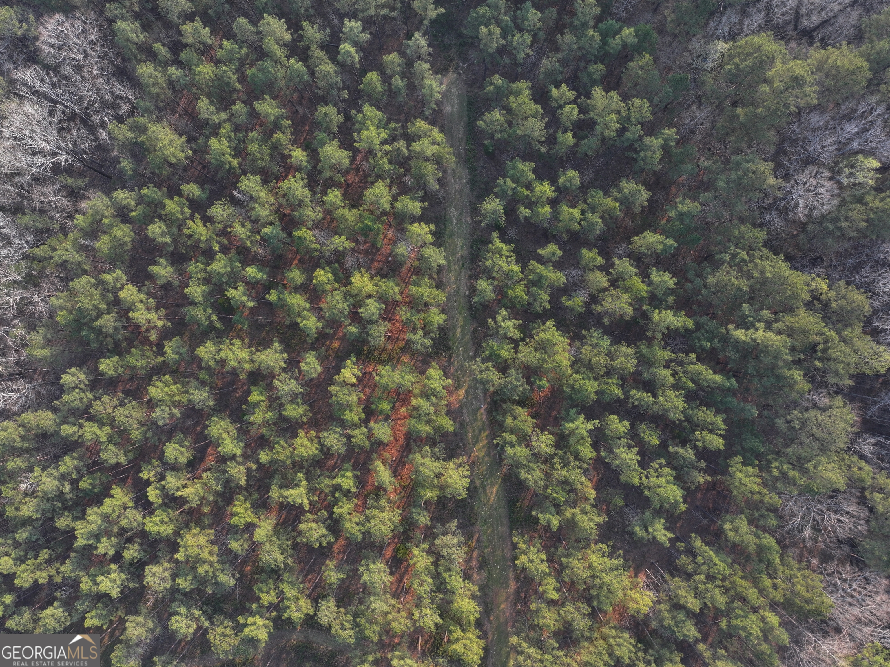 117 Acres On Mccosh Mill Road Franklin, GA 30217 - Photo 12 of 24