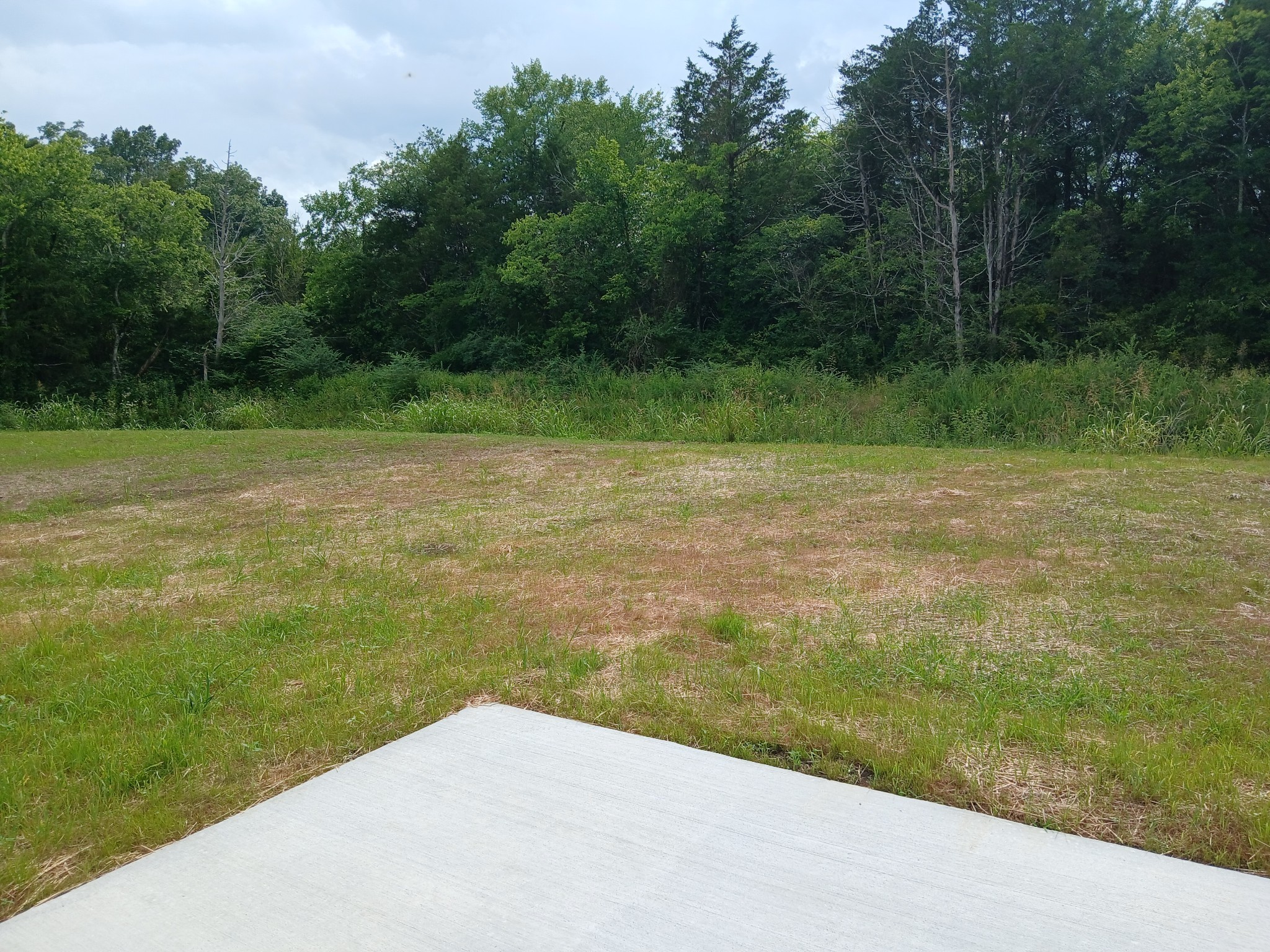 2855 Upstream Road Christiana, TN 37037 - Photo 76 of 84