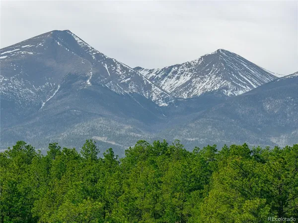 a view of a dry yard with a house in the background