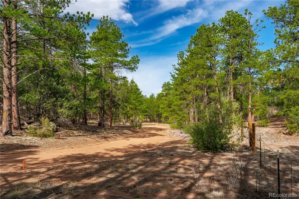 a view of backyard with green space